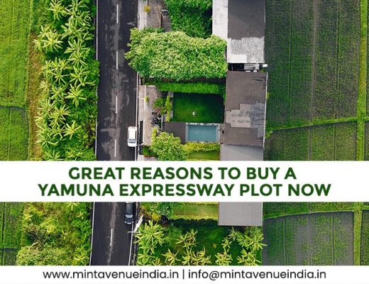Great Reasons to Buy a Yamuna Expressway Plot Now