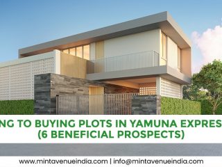 Looking to Buying Plots in Yamuna Expressway? (6 Beneficial prospects)