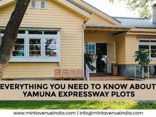 Everything You Need To Know About Yamuna Expressway Plots