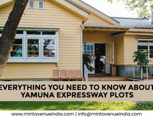 Everything You Need To Know About Yamuna Expressway Plots