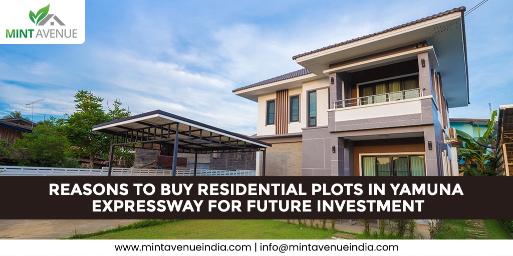 Reasons to Buy Residential Plots in Yamuna Expressway for Future Investment